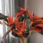Apartment The Orchid